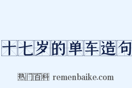 十七岁的单车造句是什么意思的图片